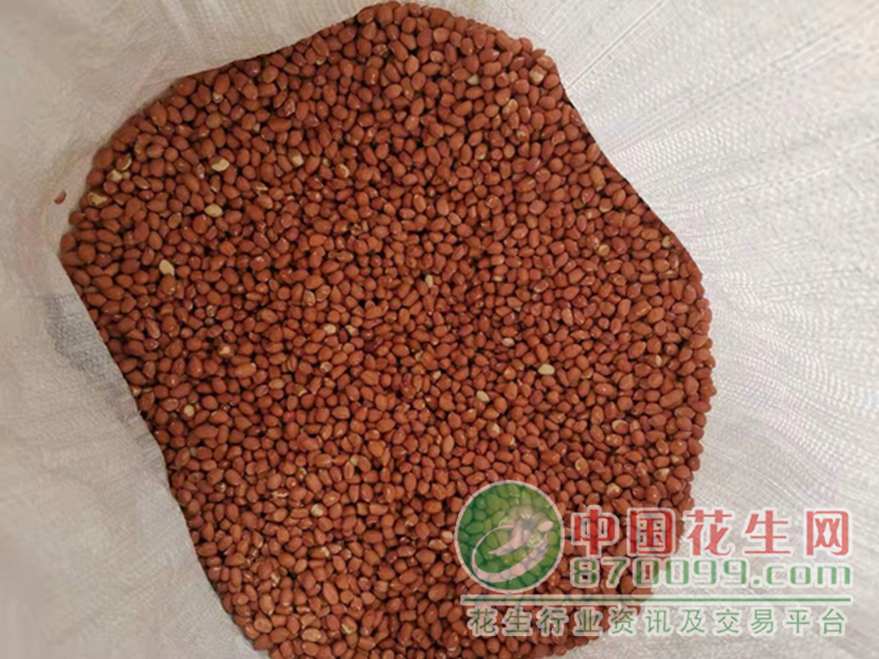 点击图片可在新窗口打开 800×600